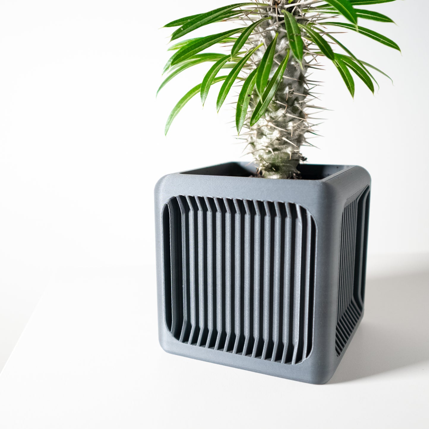 Pot "Lenox"