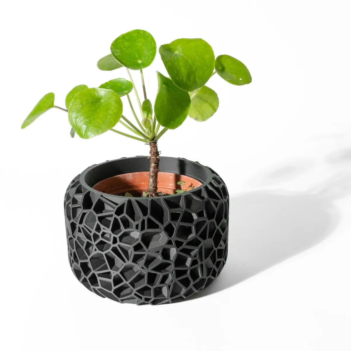 "Fractyx" pot