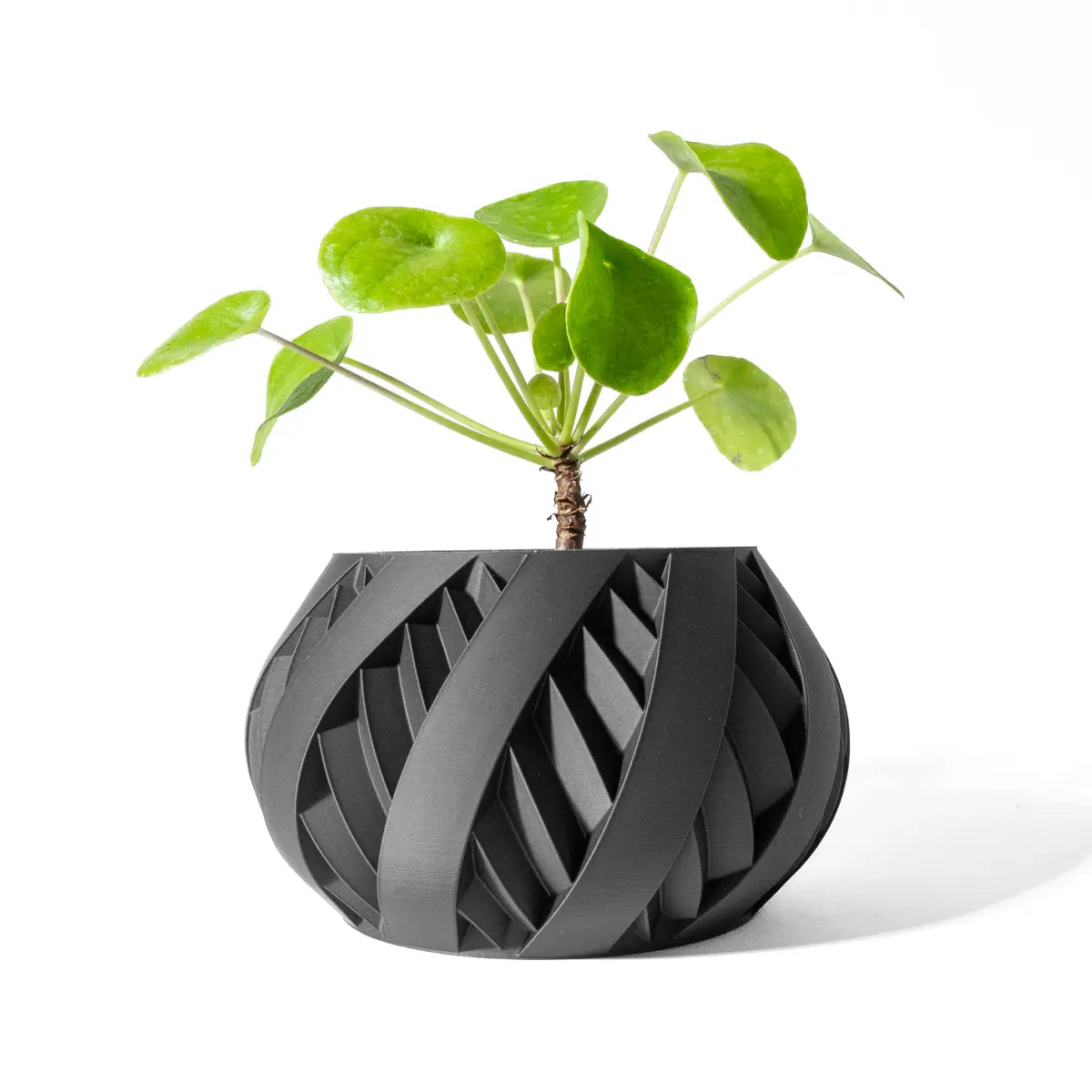 "Arabella" pot