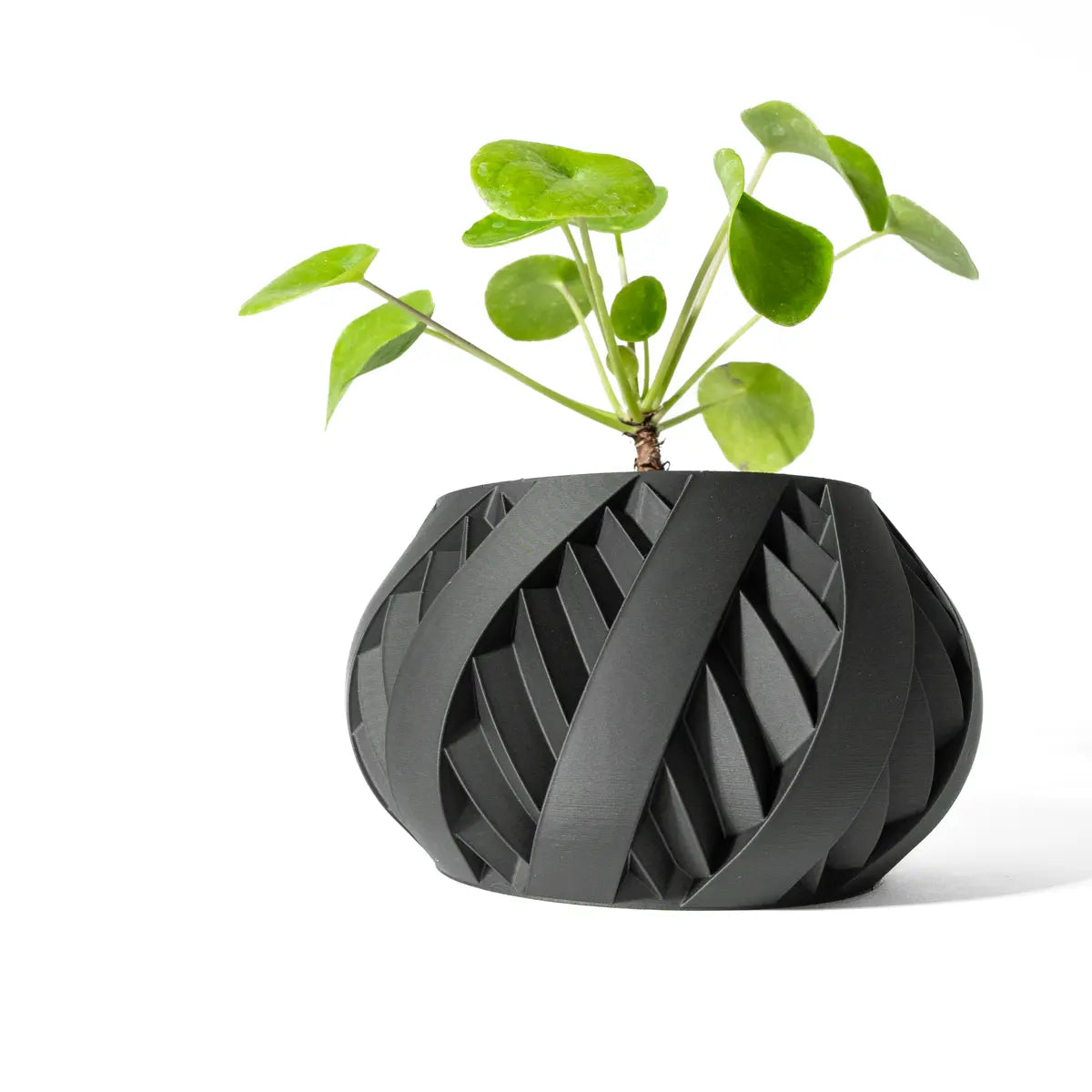 "Arabella" pot
