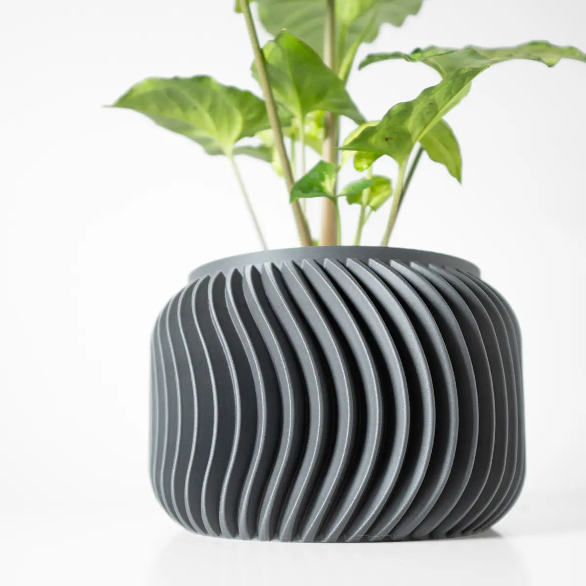 "Villar" pot