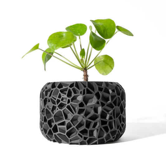 Pot "Fractyx"