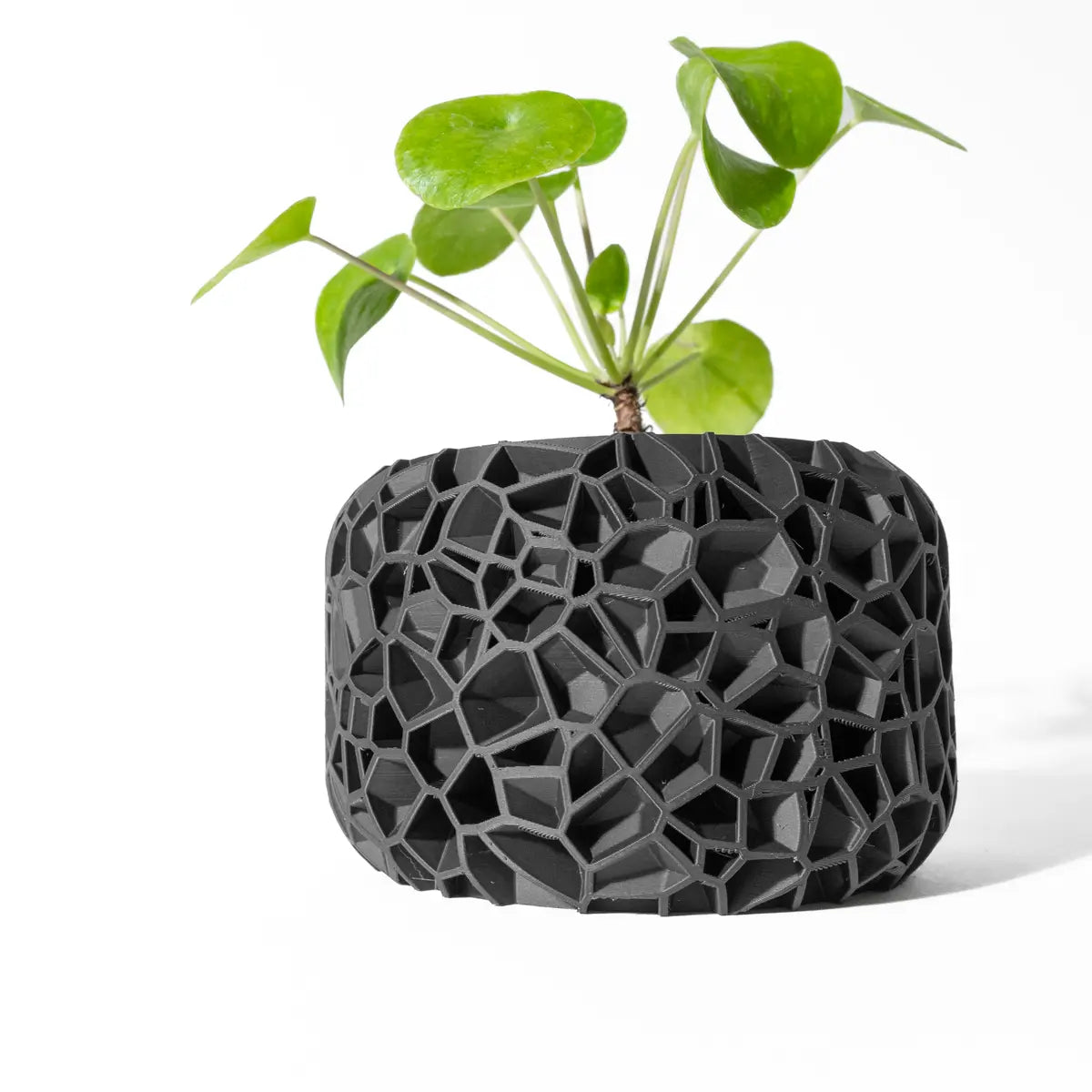 "Fractyx" pot